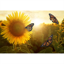 Lade das Bild in den Galerie-Viewer, Aluminiumbild Schmetterlinge im Sonnenblumenfeld Querformat
