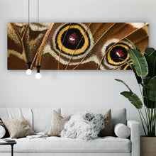 Lade das Bild in den Galerie-Viewer, Poster Schmetterlings Flügel Braun Panorama