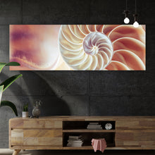 Lade das Bild in den Galerie-Viewer, Poster Schneckenfossil Panorama