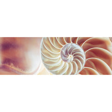 Lade das Bild in den Galerie-Viewer, Poster Schneckenfossil Panorama