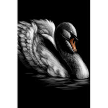 Lade das Bild in den Galerie-Viewer, Aluminiumbild gebürstet Schwan auf schwarzem Hintergrund Hochformat