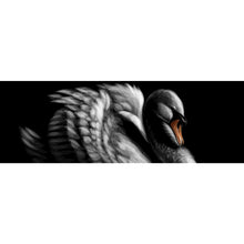 Lade das Bild in den Galerie-Viewer, Acrylglasbild Schwan auf schwarzem Hintergrund Panorama