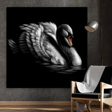 Lade das Bild in den Galerie-Viewer, Leinwandbild Schwan auf schwarzem Hintergrund Quadrat