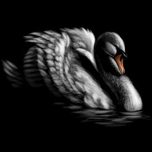 Lade das Bild in den Galerie-Viewer, Leinwandbild Schwan auf schwarzem Hintergrund Quadrat