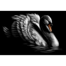 Lade das Bild in den Galerie-Viewer, Aluminiumbild gebürstet Schwan auf schwarzem Hintergrund Querformat