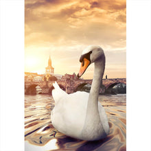 Lade das Bild in den Galerie-Viewer, Aluminiumbild Schwan bei der Karlsbrücke Hochformat