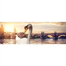 Lade das Bild in den Galerie-Viewer, Aluminiumbild Schwan bei der Karlsbrücke Panorama