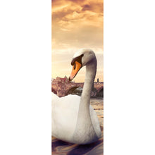 Lade das Bild in den Galerie-Viewer, Acrylglasbild Schwan bei der Karlsbrücke Panorama Hoch