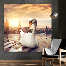 Lade das Bild in den Galerie-Viewer, Aluminiumbild gebürstet Schwan bei der Karlsbrücke Quadrat