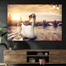 Lade das Bild in den Galerie-Viewer, Aluminiumbild gebürstet Schwan bei der Karlsbrücke Querformat
