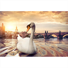 Lade das Bild in den Galerie-Viewer, Acrylglasbild Schwan bei der Karlsbrücke Querformat