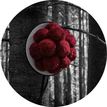 Lade das Bild in den Galerie-Viewer, Aluminiumbild gebürstet Schwarzwald Bollenhut Kreis