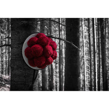 Lade das Bild in den Galerie-Viewer, Spannrahmenbild Schwarzwald Bollenhut Querformat