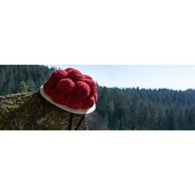 Lade das Bild in den Galerie-Viewer, Poster Schwarzwaldhut Panorama