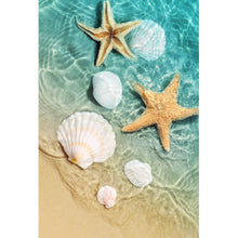 Lade das Bild in den Galerie-Viewer, Poster Seesterne und Muscheln am Strand Hochformat