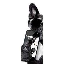 Lade das Bild in den Galerie-Viewer, Spannrahmenbild Selfie Time Bulldogge Panorama Hoch