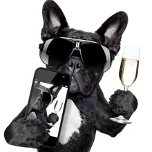Lade das Bild in den Galerie-Viewer, Leinwandbild Selfie Time Bulldogge Quadrat