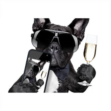Lade das Bild in den Galerie-Viewer, Aluminiumbild Selfie Time Bulldogge Querformat
