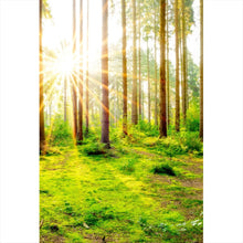 Lade das Bild in den Galerie-Viewer, Poster Sonnenaufgang im Wald Hochformat