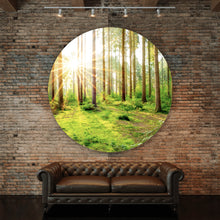 Lade das Bild in den Galerie-Viewer, Aluminiumbild Sonnenaufgang im Wald Kreis