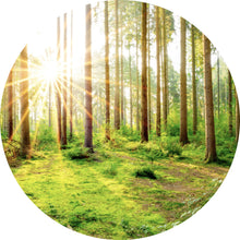 Lade das Bild in den Galerie-Viewer, Aluminiumbild gebürstet Sonnenaufgang im Wald Kreis
