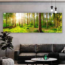 Lade das Bild in den Galerie-Viewer, Poster Sonnenaufgang im Wald Panorama