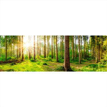 Lade das Bild in den Galerie-Viewer, Poster Sonnenaufgang im Wald Panorama
