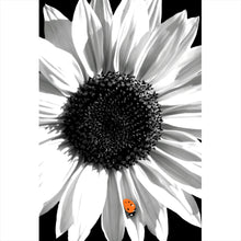 Lade das Bild in den Galerie-Viewer, Aluminiumbild gebürstet Sonnenblume mit Marienkäfer Hochformat