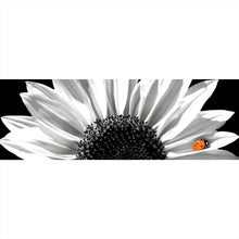 Lade das Bild in den Galerie-Viewer, Poster Sonnenblume mit Marienkäfer Panorama