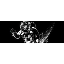 Lade das Bild in den Galerie-Viewer, Aluminiumbild Space Monkey Panorama