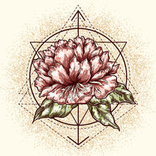 Lade das Bild in den Galerie-Viewer, Poster Spirit of Nature Quadrat