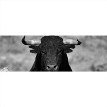 Lade das Bild in den Galerie-Viewer, Leinwandbild Stier Schwarz Weiß Panorama