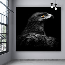 Lade das Bild in den Galerie-Viewer, Poster Stolzer Adler Quadrat