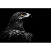 Lade das Bild in den Galerie-Viewer, Spannrahmenbild Stolzer Adler Querformat
