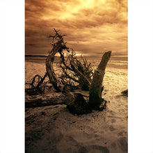 Lade das Bild in den Galerie-Viewer, Aluminiumbild gebürstet Strand und Meer in Sepia Hochformat