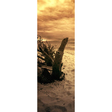 Lade das Bild in den Galerie-Viewer, Leinwandbild Strand und Meer in Sepia Panorama Hoch