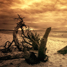 Lade das Bild in den Galerie-Viewer, Spannrahmenbild Strand und Meer in Sepia Quadrat