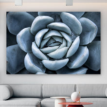 Lade das Bild in den Galerie-Viewer, Acrylglasbild Sukkulente Grau Querformat