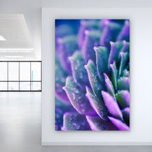 Lade das Bild in den Galerie-Viewer, Acrylglasbild Sukkulente Lila Hochformat