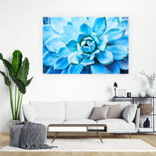 Lade das Bild in den Galerie-Viewer, Acrylglasbild Sukkulente Türkis Querformat