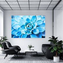 Lade das Bild in den Galerie-Viewer, Acrylglasbild Sukkulente Türkis Querformat