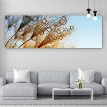 Lade das Bild in den Galerie-Viewer, Aluminiumbild gebürstet Tautropfen auf Löwenzahn Panorama