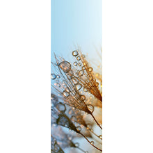 Lade das Bild in den Galerie-Viewer, Aluminiumbild Tautropfen auf Löwenzahn Panorama Hoch