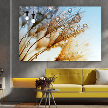 Lade das Bild in den Galerie-Viewer, Aluminiumbild Tautropfen auf Löwenzahn Querformat
