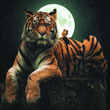 Lade das Bild in den Galerie-Viewer, Poster Tiger bei Vollmond Quadrat