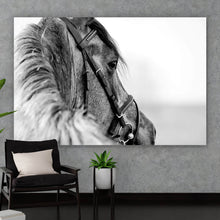 Lade das Bild in den Galerie-Viewer, Acrylglasbild Traumhafter Hengst Schwarz-Weiß Querformat