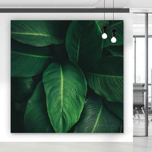 Lade das Bild in den Galerie-Viewer, Poster Tropische Blätter Quadrat