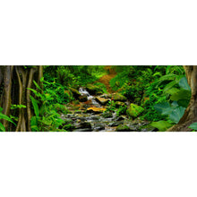 Lade das Bild in den Galerie-Viewer, Aluminiumbild Tropischer Dschungel mit Fluss Panorama