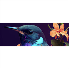 Lade das Bild in den Galerie-Viewer, Aluminiumbild Tropischer Vogel mit Blumen Modern Art No. 4 Panorama