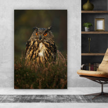 Lade das Bild in den Galerie-Viewer, Acrylglasbild Uhu im Heidekraut Hochformat
